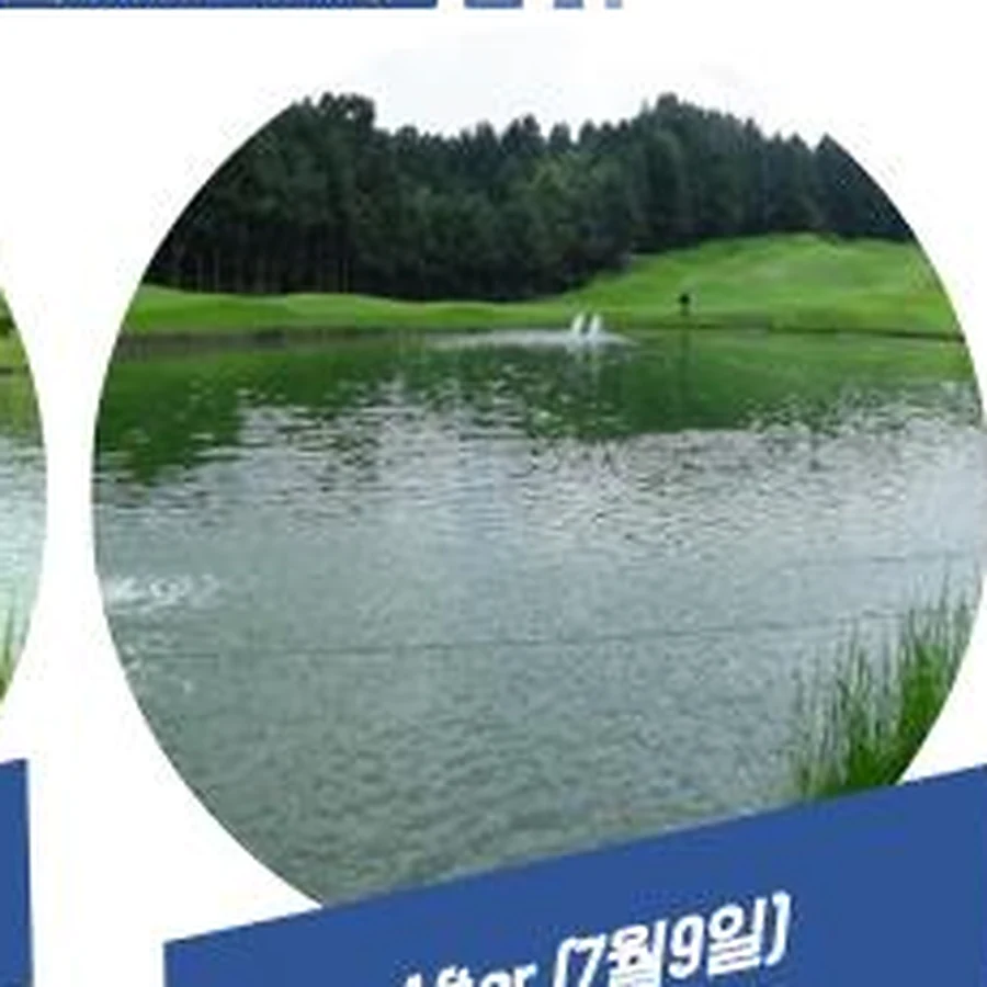 골프장 연못 7월 9일