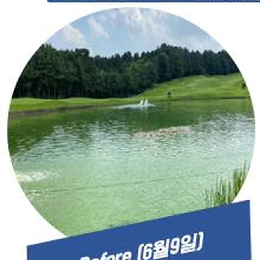 골프장 연못 6월 9일