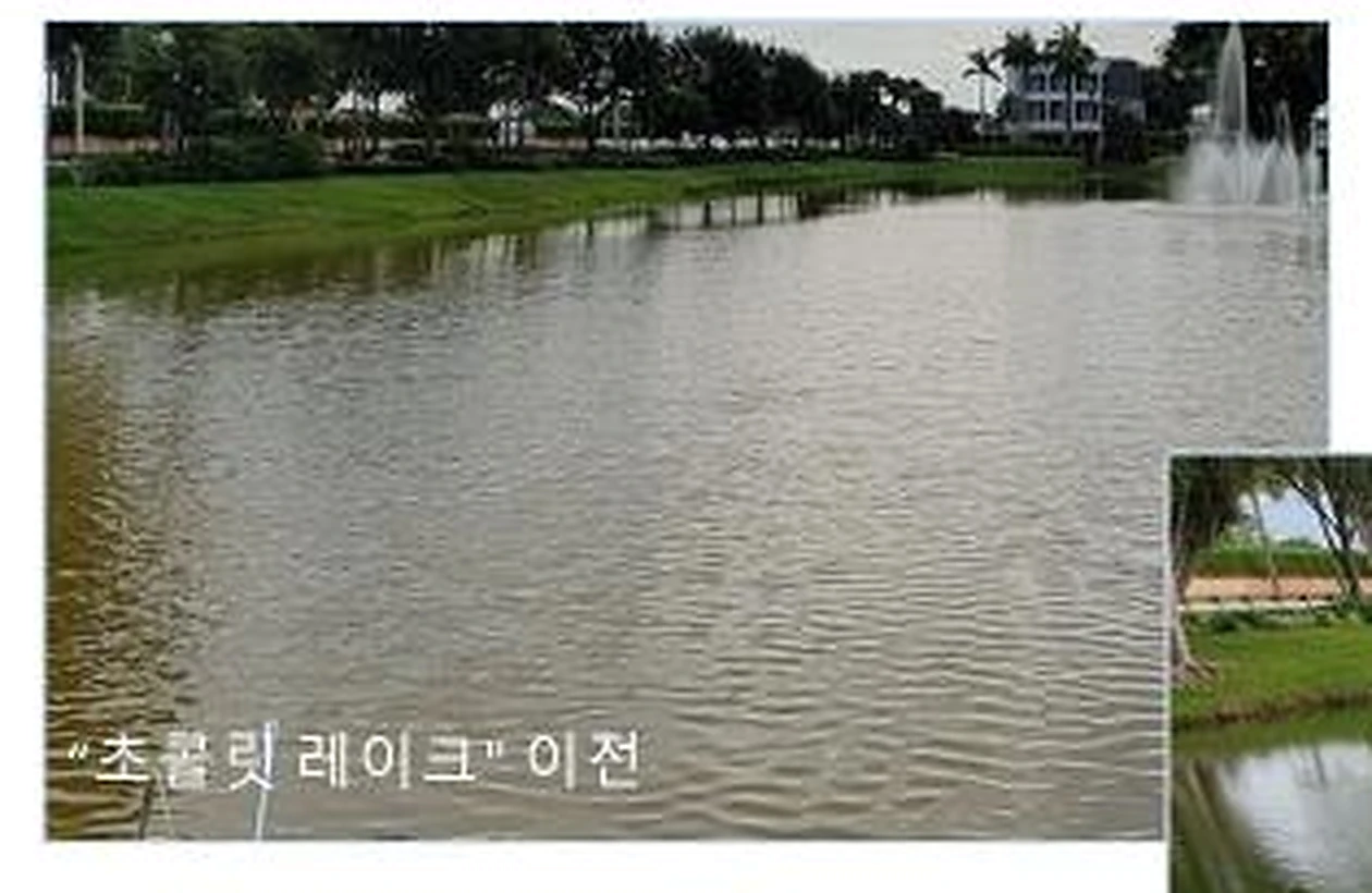해외 호수 적용 전