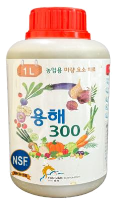 용해 300